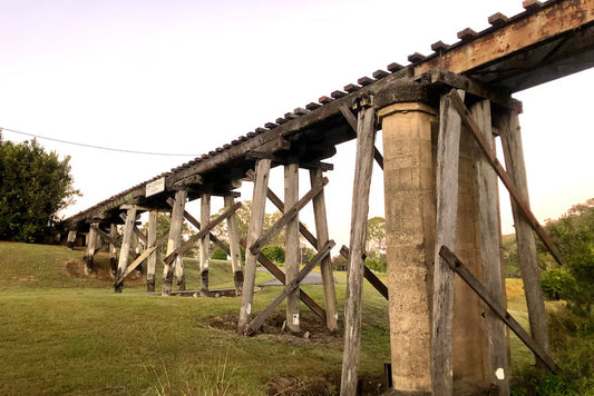 Weathered timber trestle bridge pylons surviving along the abandoned Mary Valley railway alignment.