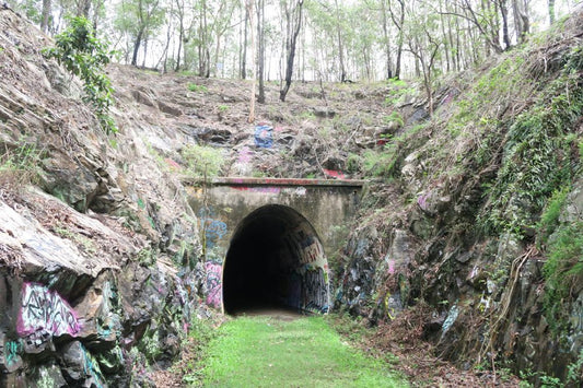 Ernest Junction Railway Tunnel: Early coastal rail infrastructure