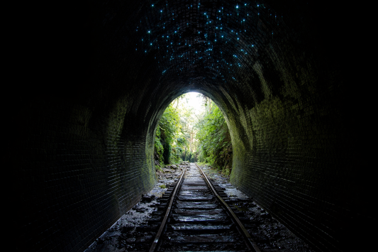Glow worms at Helensburgh Tunnel