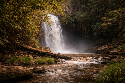 Killen Falls Guide: How to Find the Secret Cave Waterfall near Byron Bay