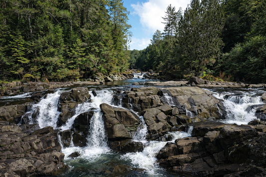 Best Swimming Spots in Rotorua & Bay of Plenty (Complete Guide)