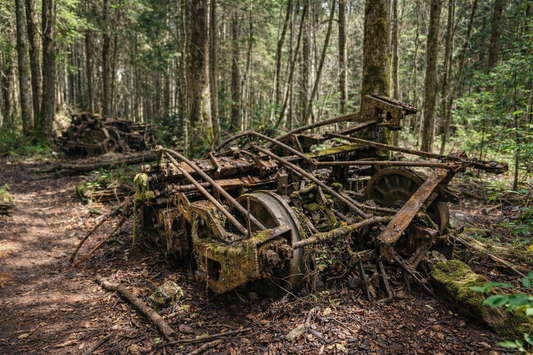 Rusted iron tracks and degraded wooden sleepers overgrown with subtropical vegetation near Brooloo.