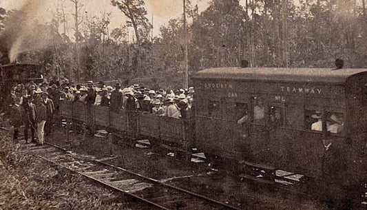 Old Buderim Tramway Remnants: A documentary record of early transport infrastructure