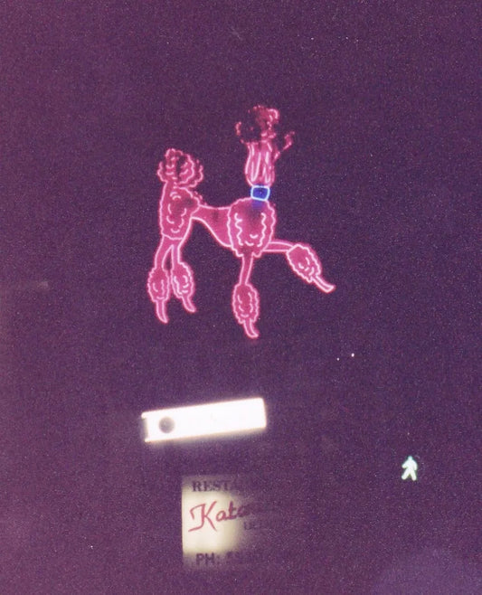 Pink Poodle Sign: Surviving 1960s commercial neon