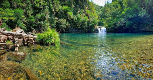 Raparapahoe Falls – Te Puke, Bay of Plenty