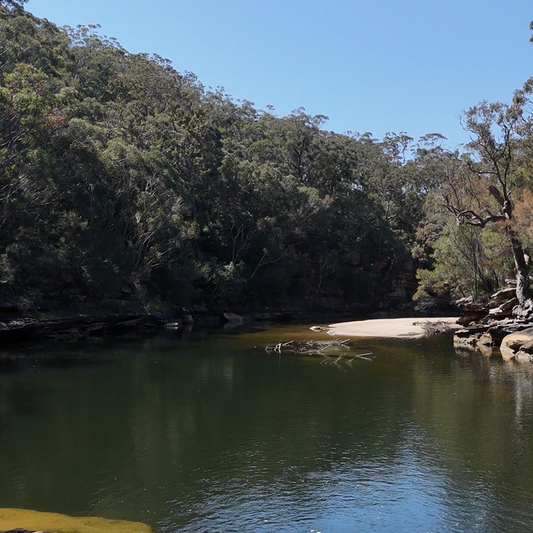 South West Arm Pool swimming hole in Royal National Park near Sydney
