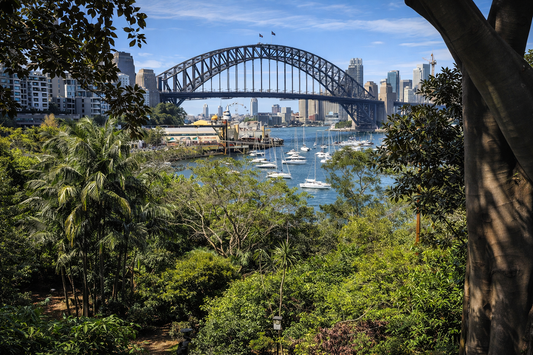 View of Sydney Harbour Bridge from Wendy Whiteley's Secret Garden in Lavender Bay