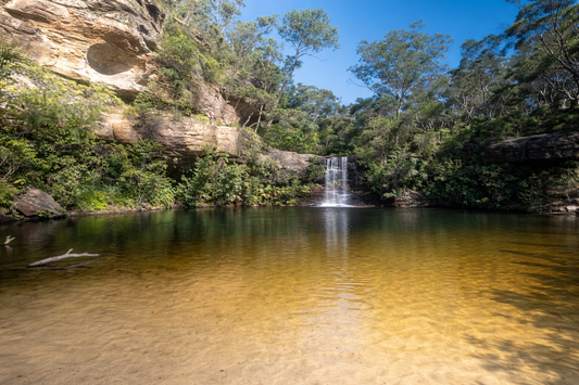 Paradise Pools 