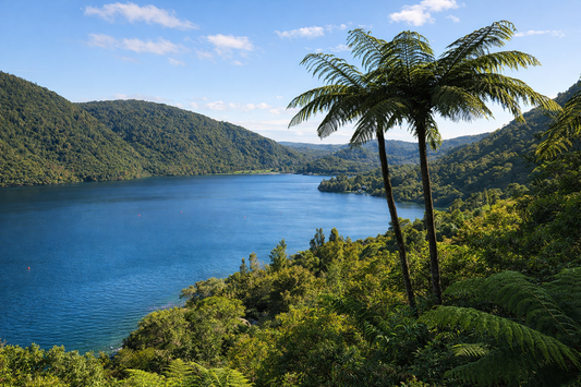 Lake Tikitapu (Blue Lake) – Rotorua, Bay of Plenty, New Zealand