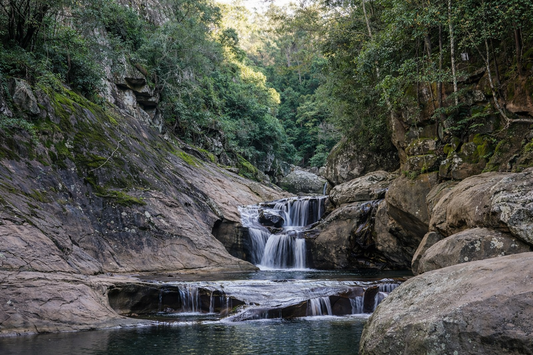 Macquarie Pass Cascades Guide: Best Wild Swimming in the Illawarra