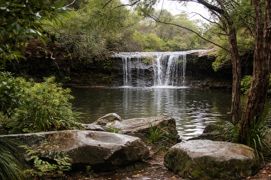 Nellies Glen – Budderoo National Park