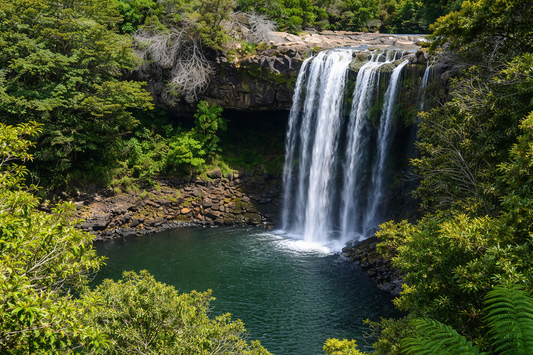 Rainbow Falls – Kerikeri, Northland