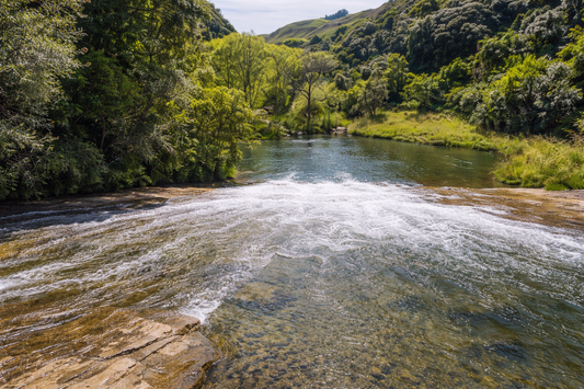 Best Swimming Spots on the East Coast & Gisborne (Complete Guide)