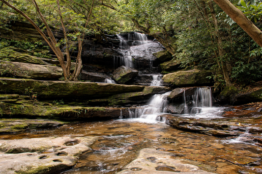 Somersby Falls Guide: Best Family Waterfall on the Central Coast