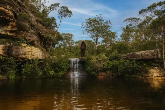 Narrow Neck Plateau above the Megalong Valley, Blue Mountains, with sandstone cliffs and forested valley below