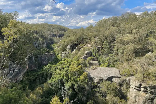 Sandstone pagoda ridges and forested gorges in Wollemi National Park