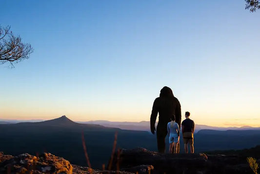View over forested ridges and the Shoalhaven plain from Cambewarra Mountain