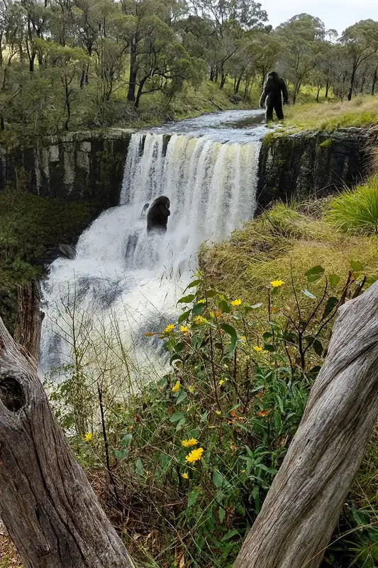 Steep forested gorge of the Guy Fawkes River in Guy Fawkes River National Park
