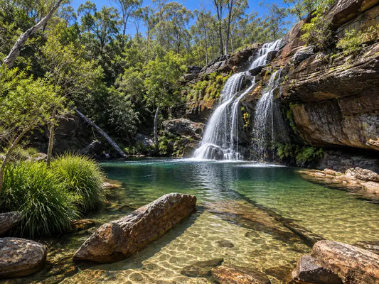 Scout Falls pouring into a deep, clear rock pool surrounded by subtropical rainforest in Sherwood Nature Reserve