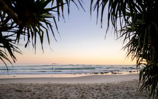 Pandanus trees and gentle waves at Wategos Beach below Cape Byron