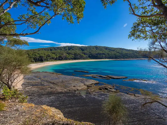 Calm water and pale sand at Depot Beach backed by forest in Murramarang National Park