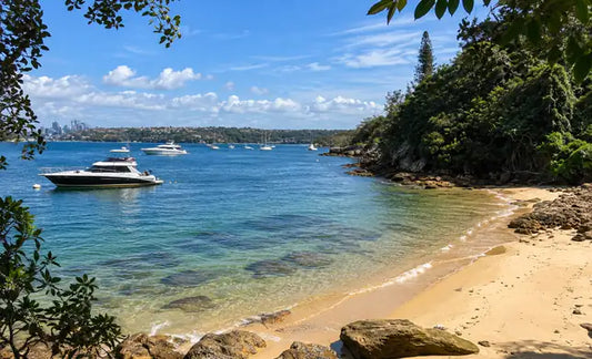 Calm harbour water at Queens Beach, Vaucluse, with the Sydney Harbour Bridge and city skyline in the distance