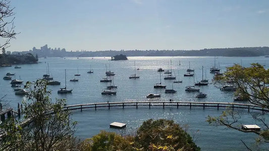 The timber boardwalk and netted swimming enclosure of Murray Rose Pool in Double Bay with the Sydney skyline behind