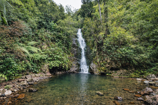 Wentworth Falls – Whangamatā, Coromandel, New Zealand