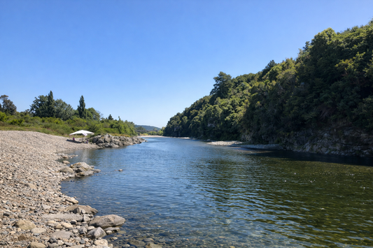 Best Swimming Spots in Wellington & Wairarapa (Complete Guide)